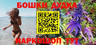 СК Гусев