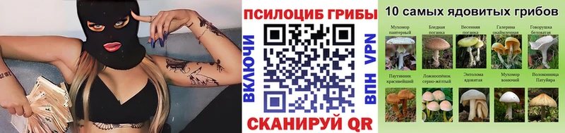 Галлюциногенные грибы Psilocybine cubensis  Гусь-Хрустальный 