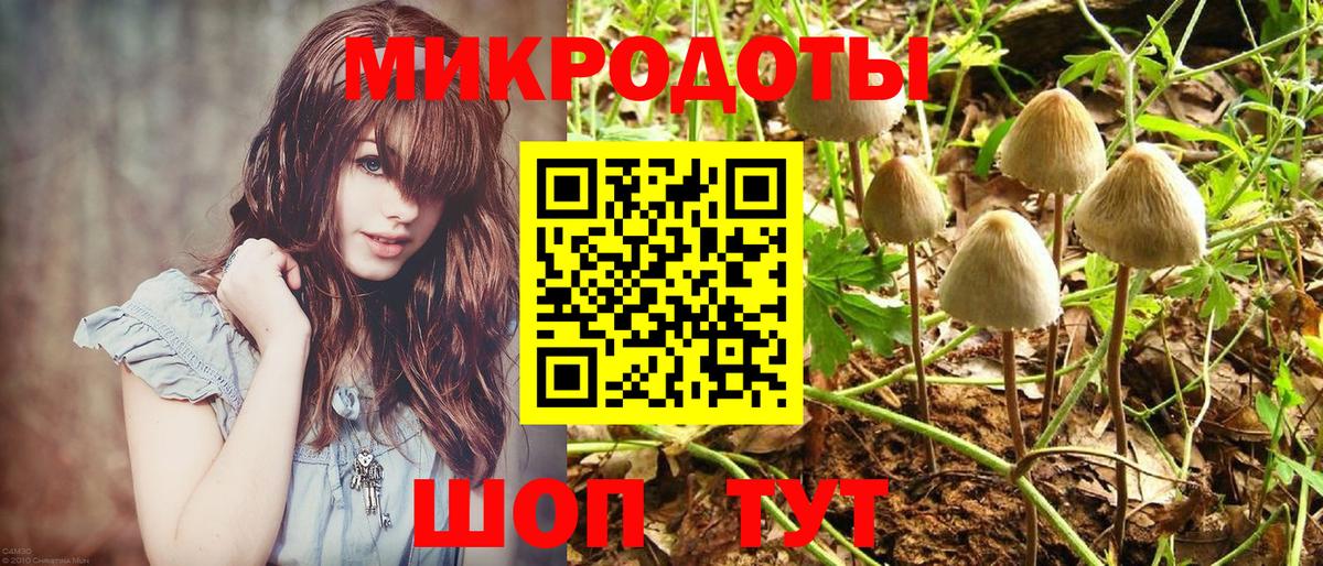 Гусь-Хрустальный  Галлюциногенные грибы Cubensis  Псилоцибиновые грибы Cubensis  наркота  Вход с VPN 