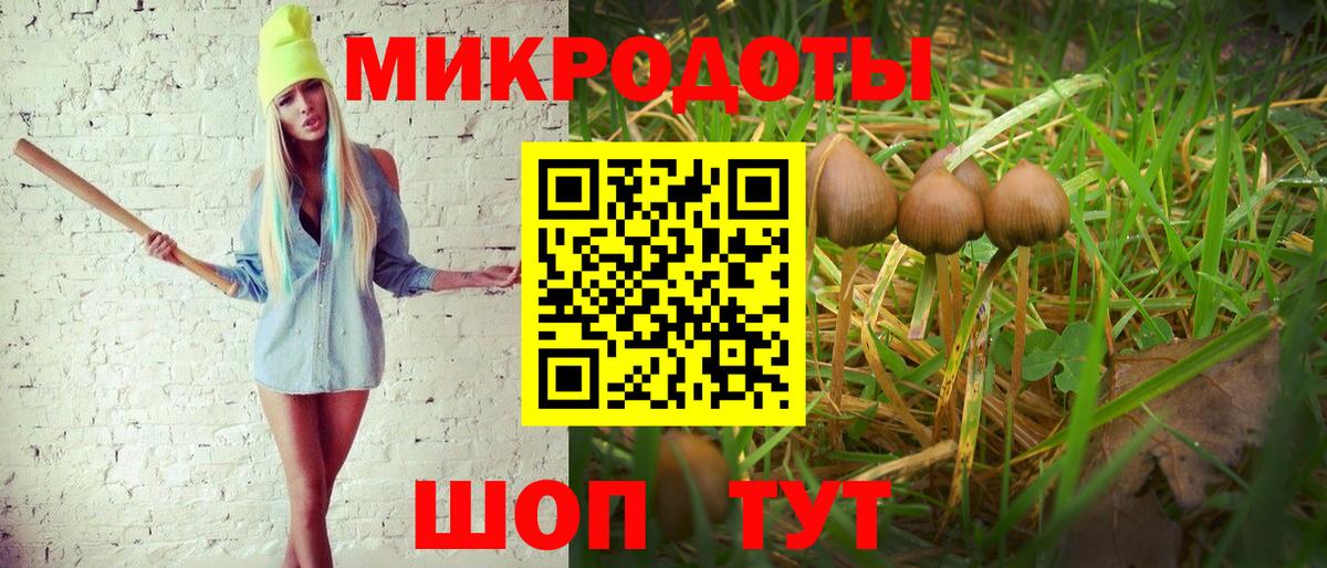 Псилоцибиновые грибы прущие грибы Гусь-Хрустальный