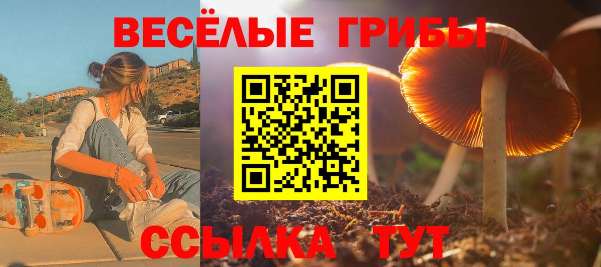 Галлюциногенные грибы Psilocybe  Псилоцибиновые грибы мицелий  Гусь-Хрустальный 